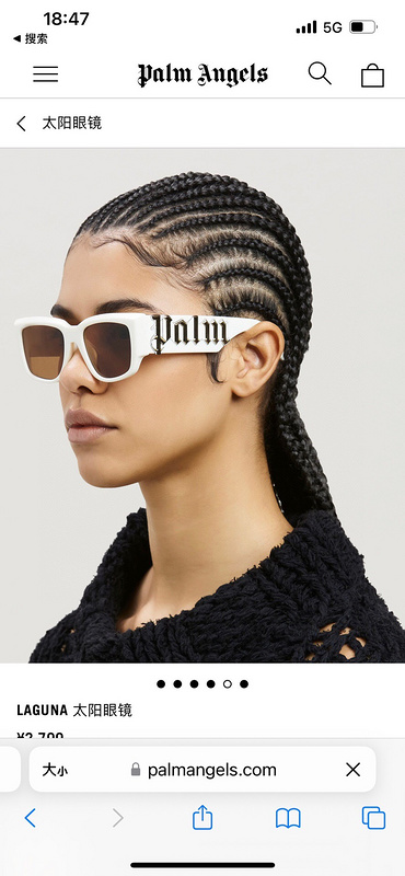 Palm Angles Sunglasses 202304005