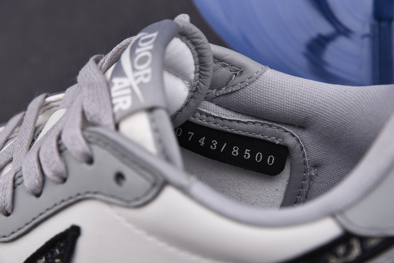 DIOR x Air Jordan 1 Low AJ1 Grey White Black 553668 998