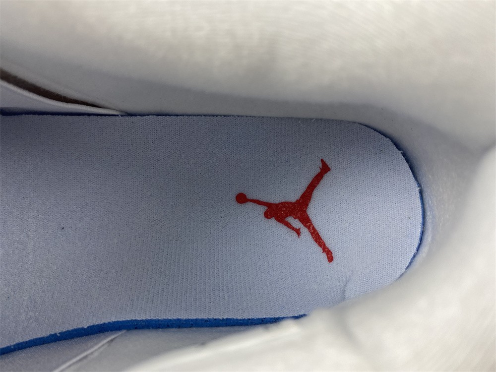 Air Jordan 4 Canvas DQ4909-100