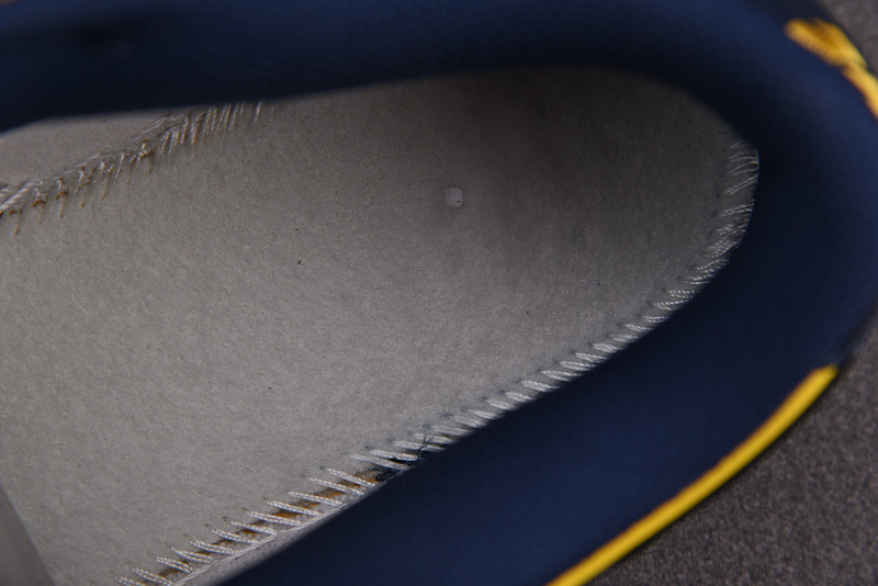 Nike Dunk Low Michigan DD1391-700