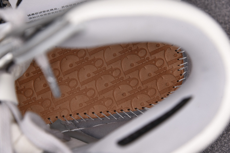 DIOR x Air Jordan 1 High OG CN8607-002