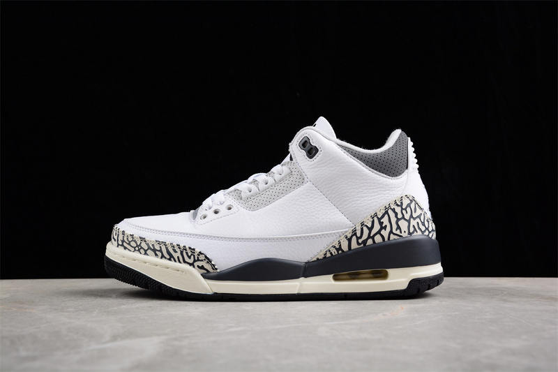 Air Jordan 3 GS Hide N