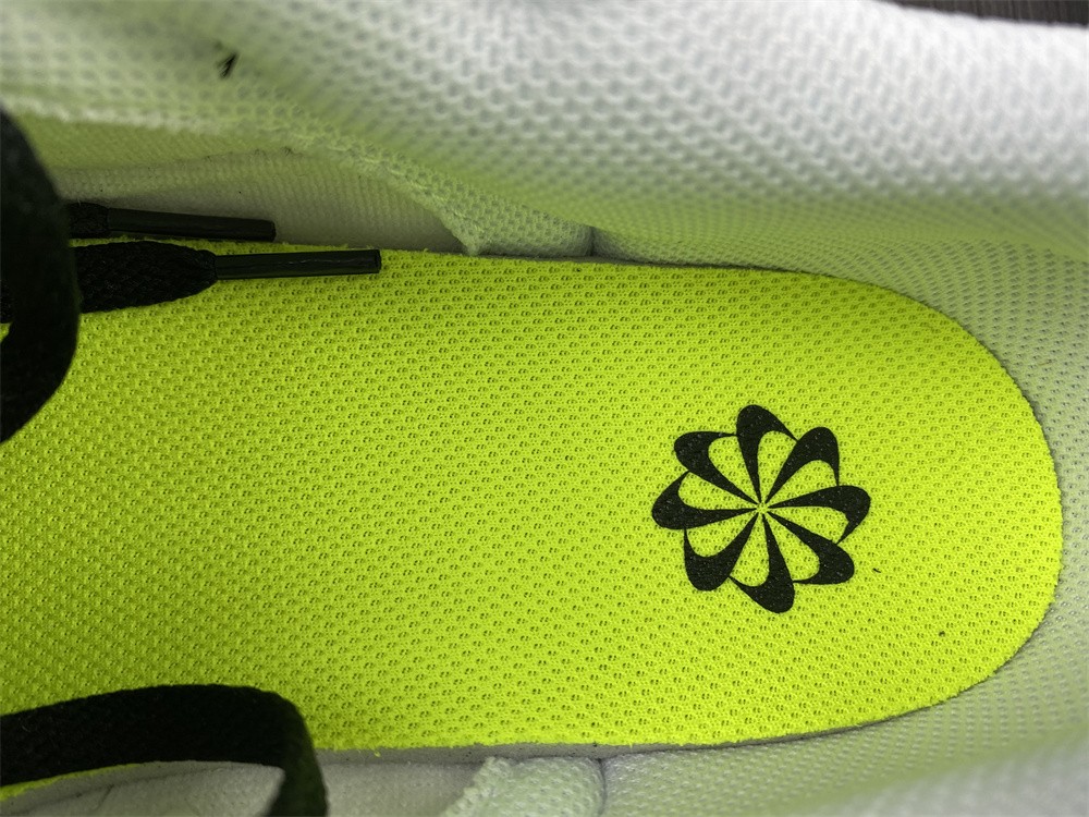 Nike Dunk Low Next Nature White Black  DD1873-102