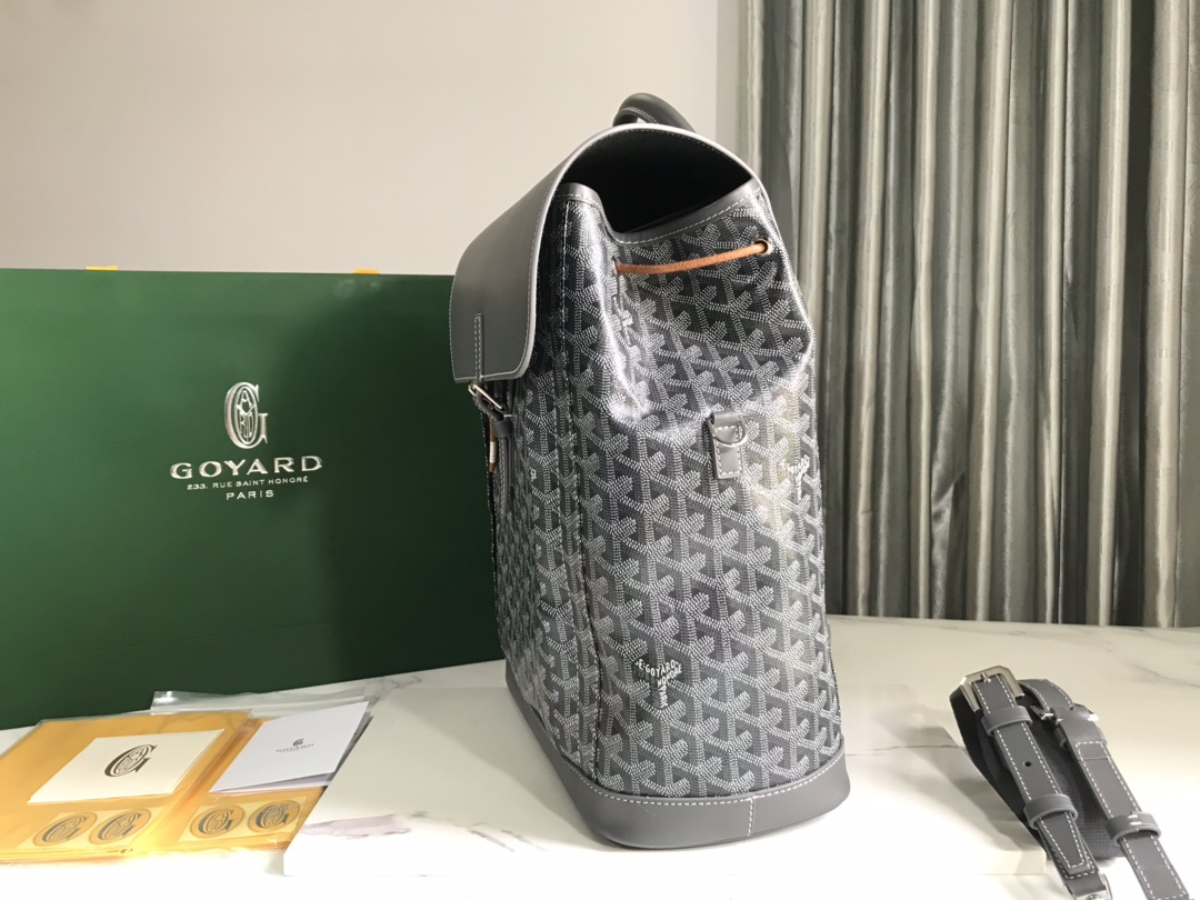 Goyard Calfskin Alpin MM Backpack
