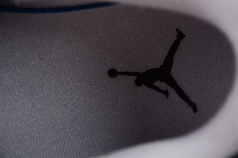 Air Jordan 3 GS Hide N