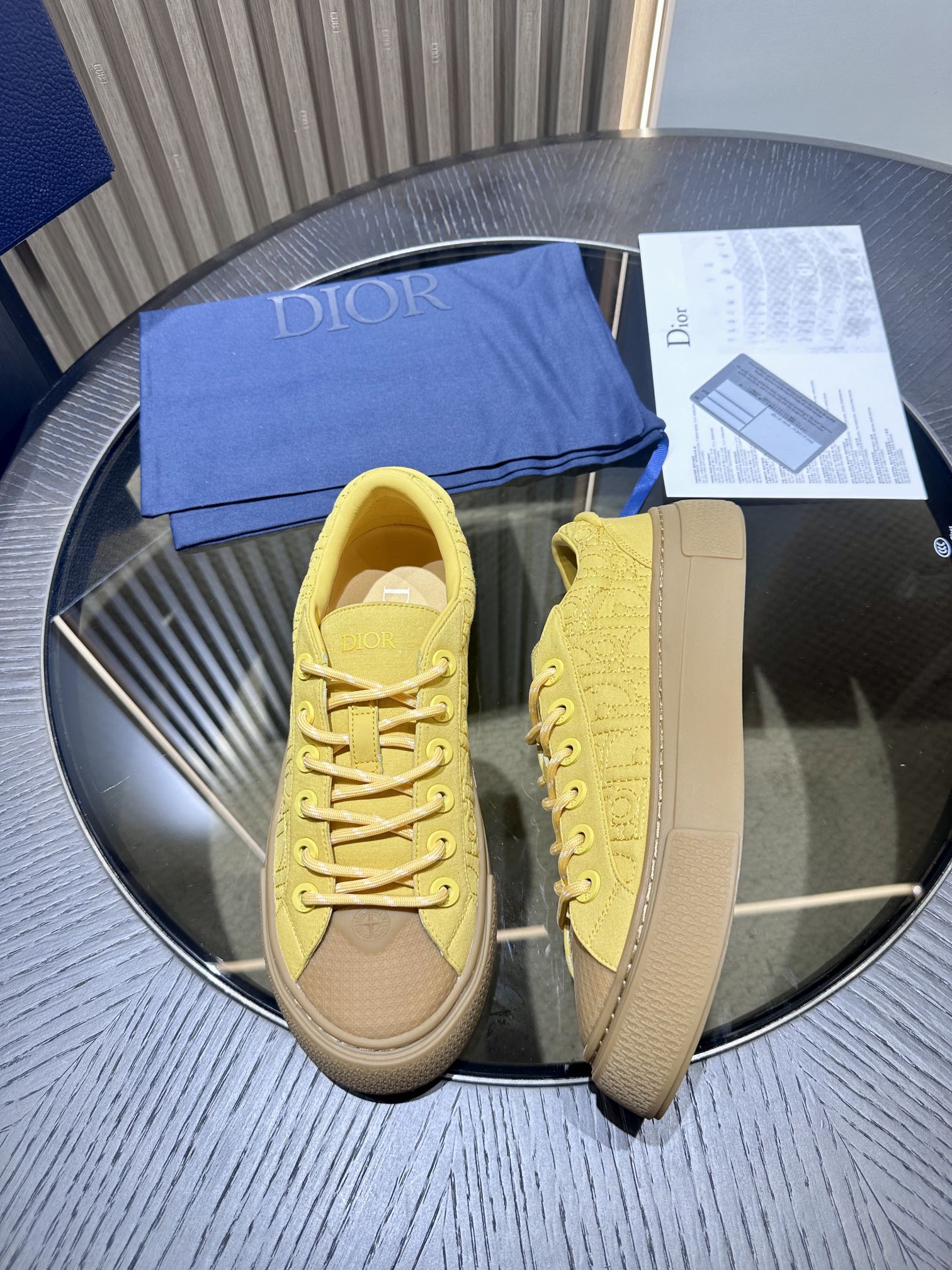 DIOR B33 SNEAKER