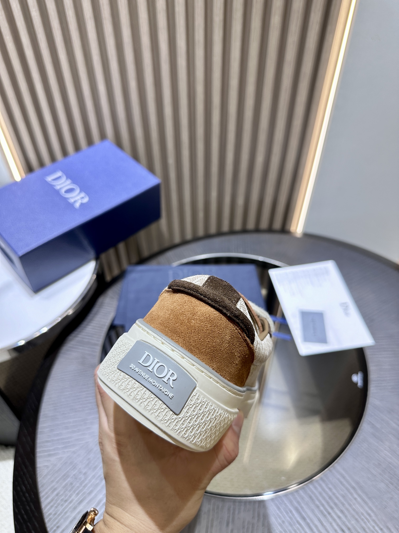 DIOR B33 SNEAKER