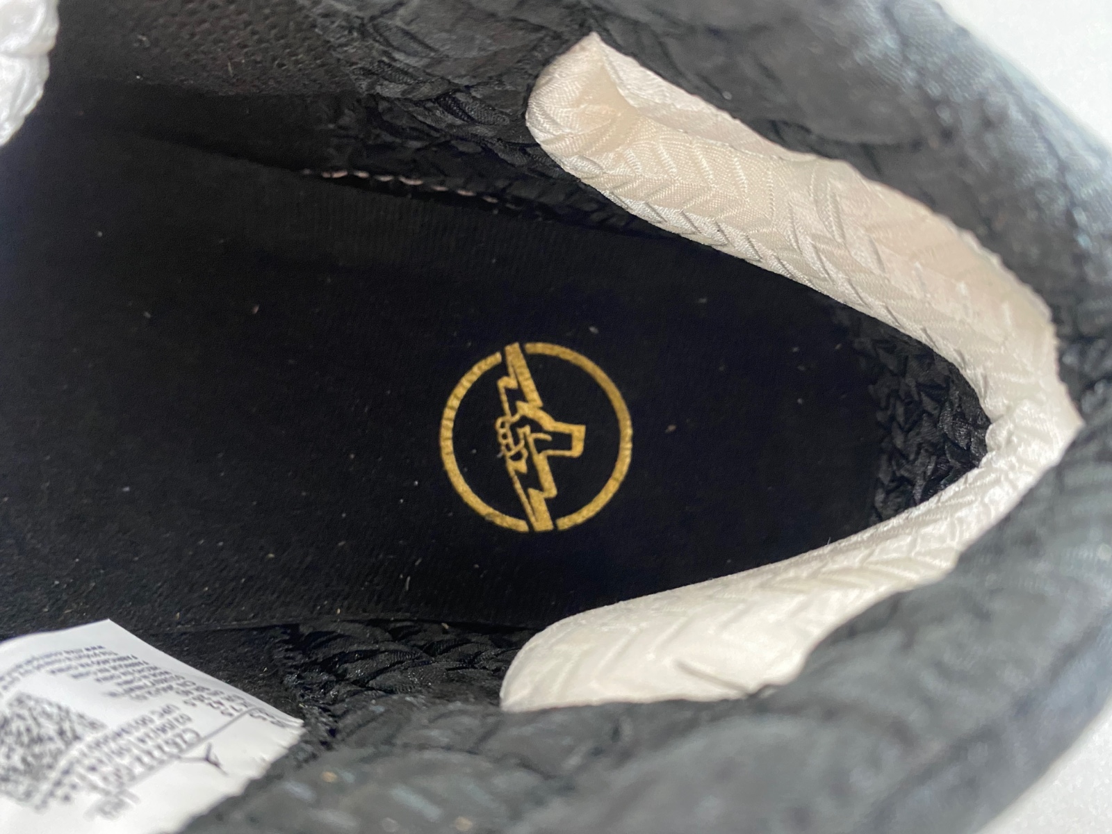 Titan x Air Jordan 23