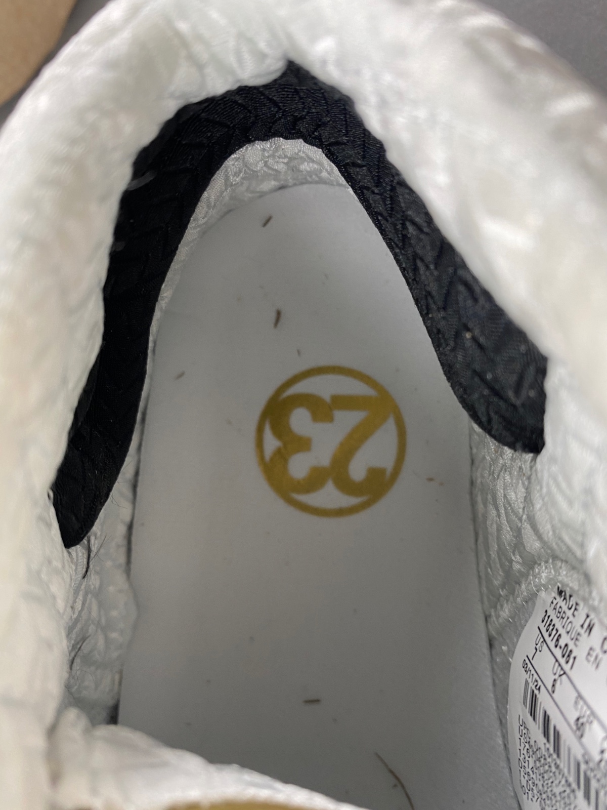 Titan x Air Jordan 23