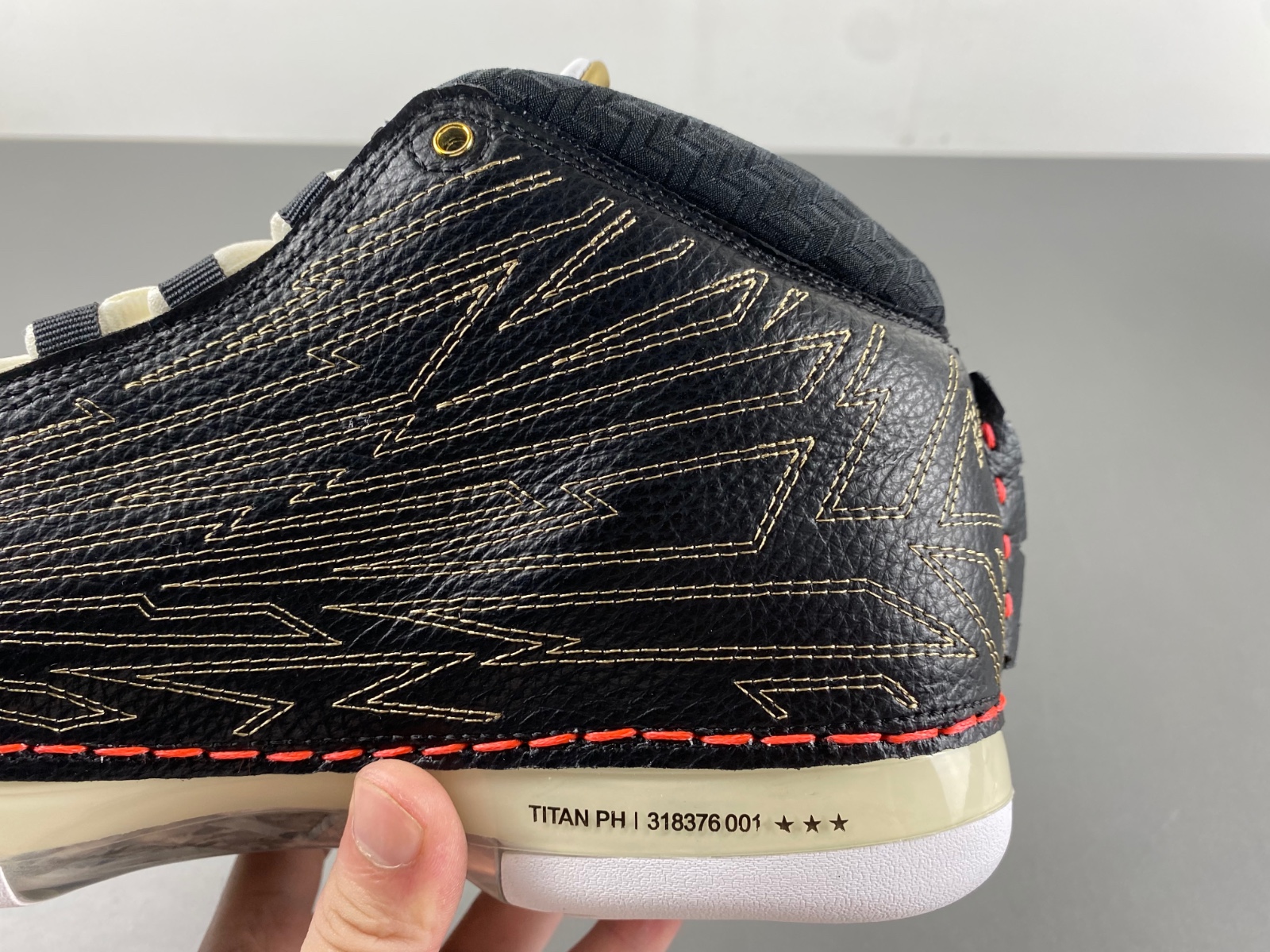Titan x Air Jordan 23